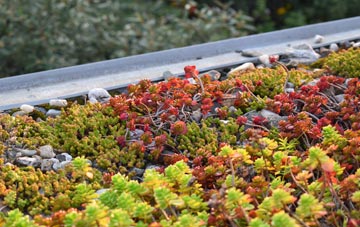 the cost of Geldeston green roof installation