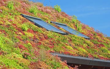 Geldeston living roof systems